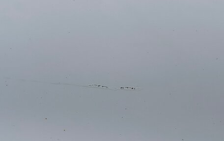 Mercedes-Benz E-Класс, 2013 год, 2 250 000 рублей, 13 фотография