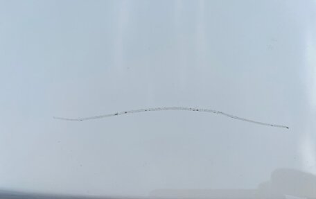 BMW X4, 2015 год, 3 100 000 рублей, 12 фотография