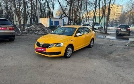Skoda Octavia, 2017 год, 499 000 рублей, 1 фотография