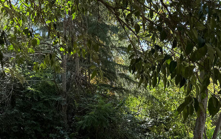 Audi A3, 2021 год, 2 985 000 рублей, 12 фотография