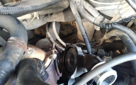 Ford Focus IV, 2003 год, 135 000 рублей, 5 фотография