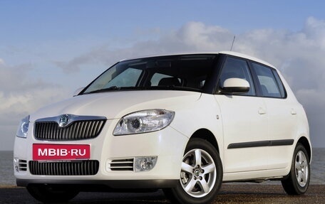 Skoda Fabia II, 2009 год, 410 000 рублей, 1 фотография