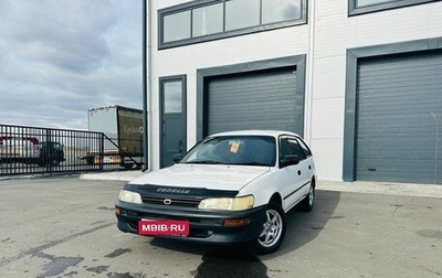 Toyota Corolla, 2001 год, 349 999 рублей, 1 фотография