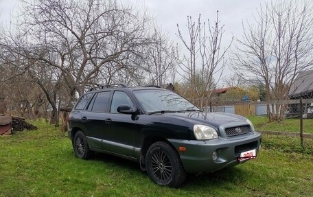 Hyundai Santa Fe III рестайлинг, 2002 год, 385 000 рублей, 1 фотография