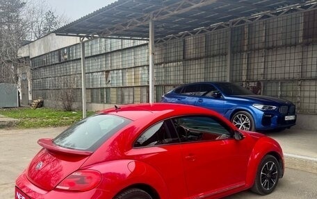 Volkswagen Beetle, 2011 год, 1 фотография