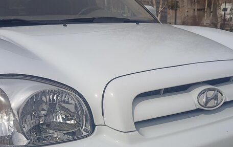 Hyundai Santa Fe Classic, 2007 год, 880 000 рублей, 9 фотография