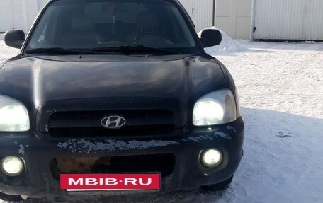 Hyundai Santa Fe Classic, 2008 год, 4 фотография