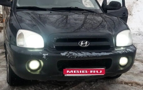 Hyundai Santa Fe Classic, 2008 год, 10 фотография