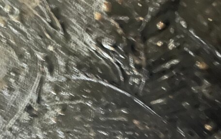 BMW 3 серия, 1993 год, 299 000 рублей, 28 фотография