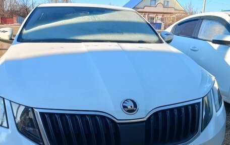 Skoda Octavia, 2020 год, 2 050 000 рублей, 1 фотография