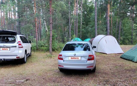 Skoda Octavia, 2016 год, 1 700 000 рублей, 16 фотография