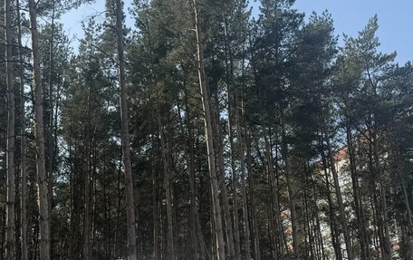 Toyota Land Cruiser 200, 2018 год, 5 900 000 рублей, 3 фотография