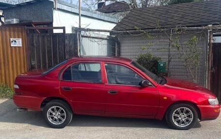 Toyota Corolla, 1996 год, 270 000 рублей, 2 фотография
