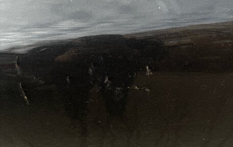 Volvo S60 III, 2005 год, 755 000 рублей, 3 фотография