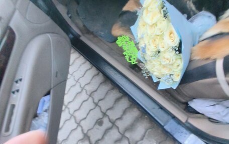 Chrysler Sebring II, 2003 год, 1 599 999 рублей, 10 фотография