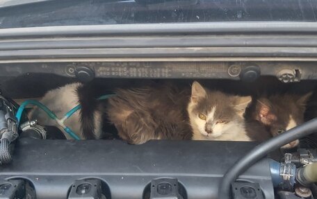 Peugeot 308 II, 2008 год, 300 000 рублей, 7 фотография