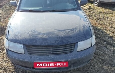 Volkswagen Passat B5+ рестайлинг, 1997 год, 160 000 рублей, 1 фотография