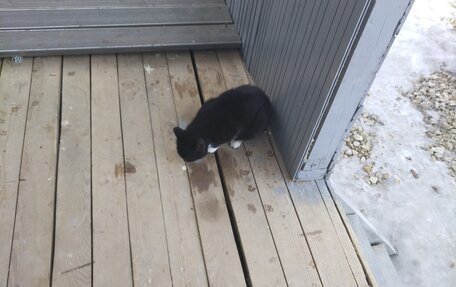 Geely MK I рестайлинг, 2008 год, 110 000 рублей, 9 фотография