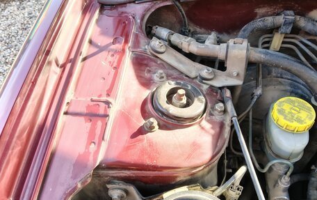 Nissan Pulsar IV, 1999 год, 400 000 рублей, 14 фотография