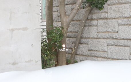 Mercedes-Benz AMG GT, 2024 год, 14 400 000 рублей, 23 фотография