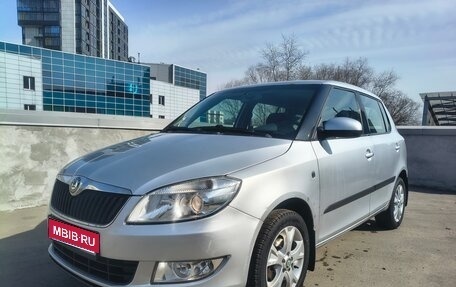 Skoda Fabia II, 2010 год, 690 000 рублей, 1 фотография