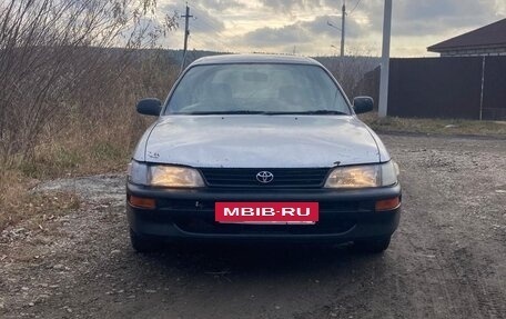 Toyota Sprinter VIII (E110), 2000 год, 240 000 рублей, 4 фотография