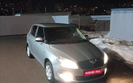Skoda Fabia II, 2013 год, 695 000 рублей, 1 фотография