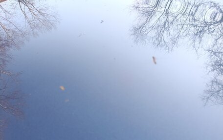 Chevrolet Niva I рестайлинг, 2014 год, 630 000 рублей, 9 фотография