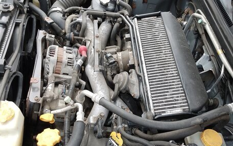 Subaru Forester, 2005 год, 830 000 рублей, 13 фотография