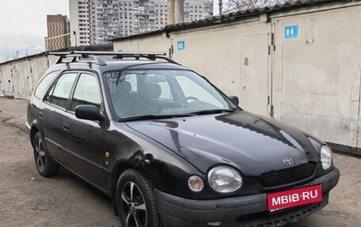 Toyota Corolla, 1998 год, 310 000 рублей, 1 фотография