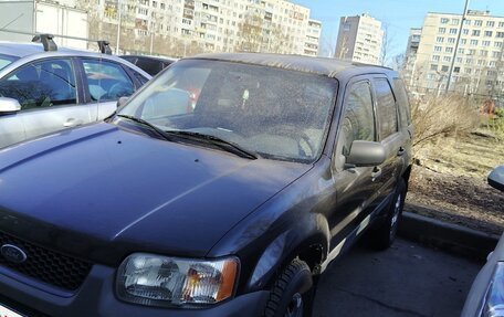 Ford Escape II, 2003 год, 300 000 рублей, 1 фотография