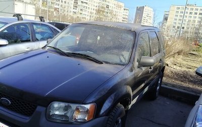 Ford Escape II, 2003 год, 300 000 рублей, 1 фотография