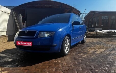 Skoda Fabia I, 2003 год, 450 000 рублей, 1 фотография