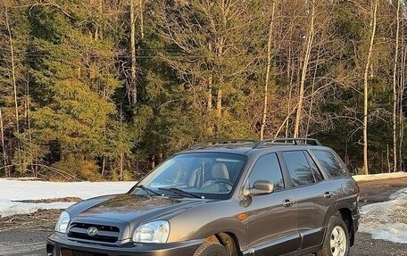 Hyundai Santa Fe III рестайлинг, 2004 год, 600 000 рублей, 1 фотография