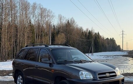 Hyundai Santa Fe III рестайлинг, 2004 год, 600 000 рублей, 2 фотография