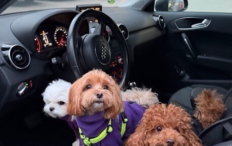 Audi A1, 2011 год, 960 000 рублей, 11 фотография