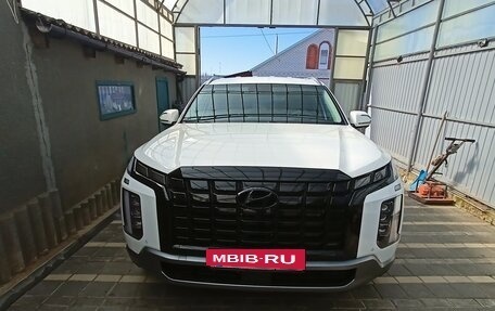 Hyundai Palisade I, 2024 год, 6 300 000 рублей, 2 фотография
