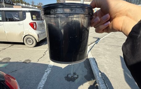 Citroen C4 II рестайлинг, 2013 год, 550 000 рублей, 17 фотография