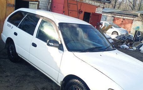 Toyota Corolla, 1999 год, 300 000 рублей, 3 фотография