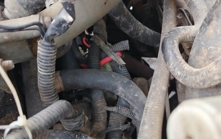 Doninvest Assol, 1999 год, 50 000 рублей, 10 фотография