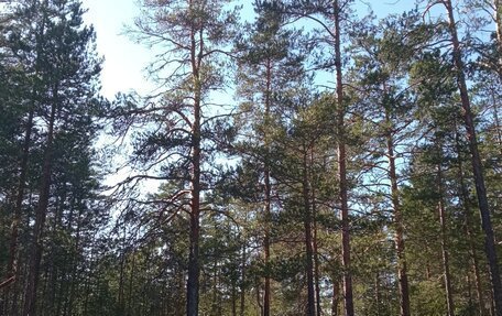 ГАЗ 3110 «Волга», 2002 год, 100 000 рублей, 2 фотография