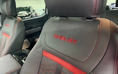 Ford F-150, 2023 год, 21 500 000 рублей, 21 фотография