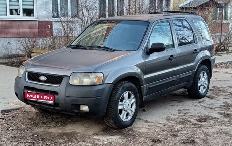 Ford Escape II, 2003 год, 315 000 рублей, 1 фотография