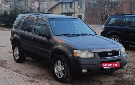 Ford Escape II, 2003 год, 315 000 рублей, 2 фотография
