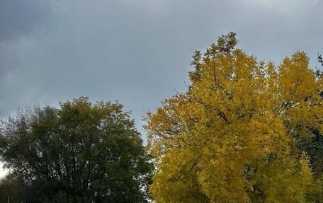 Volkswagen Passat B6, 2008 год, 465 000 рублей, 11 фотография