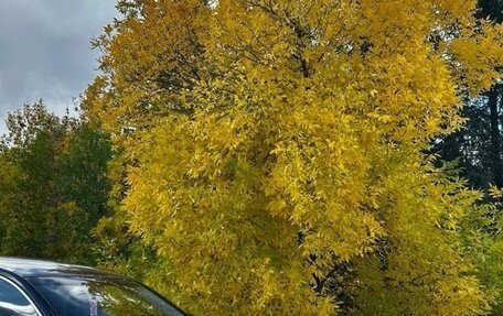 Volkswagen Passat B6, 2008 год, 465 000 рублей, 14 фотография