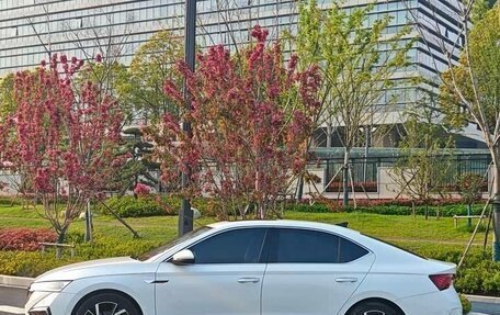 Skoda Octavia IV, 2023 год, 2 485 040 рублей, 8 фотография