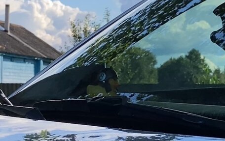 Volkswagen Passat B5+ рестайлинг, 1997 год, 320 000 рублей, 10 фотография