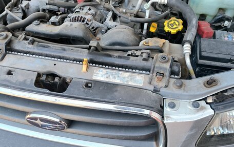 Subaru Forester, 2003 год, 530 000 рублей, 5 фотография