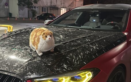 BMW M8 I (F91/F92/F93), 2020 год, 13 950 000 рублей, 15 фотография